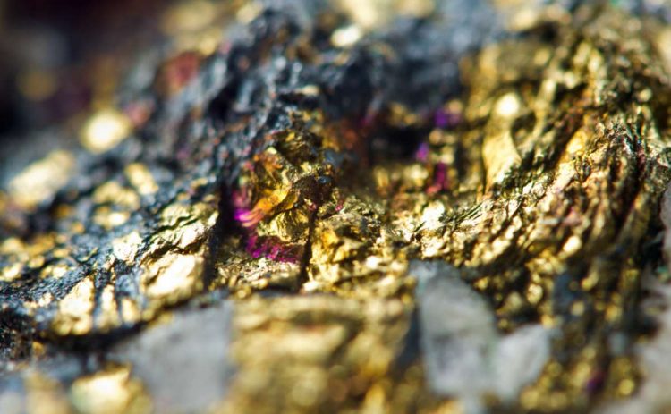 muestra de oro (Anacortes Mining - Tres Cruces)