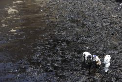 OEFA informa que el área afectada por el derrame de petróleo equivale a más de 290 hectáreas