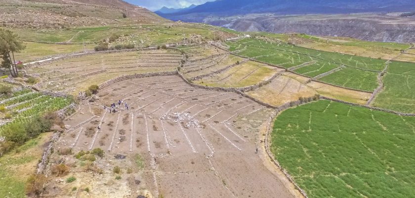 Culmina rehabilitación de 520 hectáreas de andenes en Candarave promovida por autoridades locales, Midagri y Southern Perú