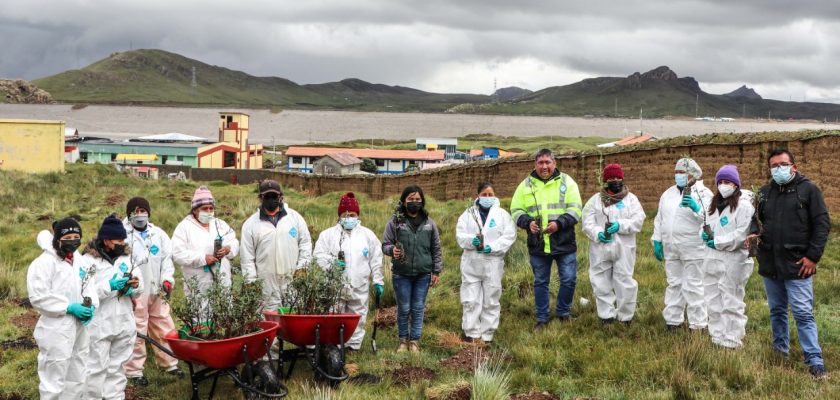 AMSAC realizó campaña de forestación de 800 quinuales en Champamarca y Quiulacocha