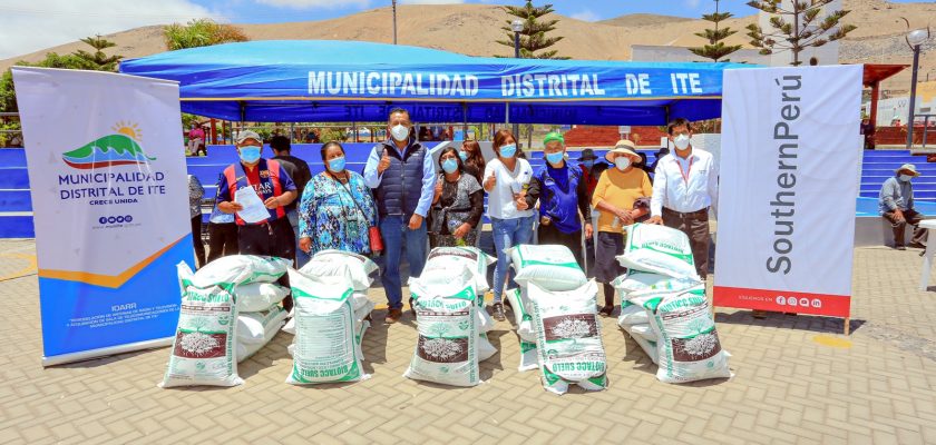 Southern Perú fortalece producción agraria de maíz forrajero en Ite con aporte de fertilizantes orgánicos