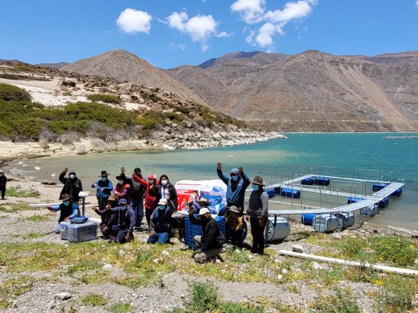 Southern Perú impulsa proyecto productivo de trucha en Candarave con programa de capital semilla