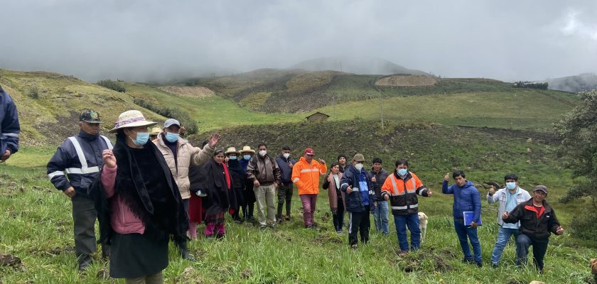 Gold Fields realiza el mejoramiento de 118.5 hectáreas de pastos en Hualgayoc  