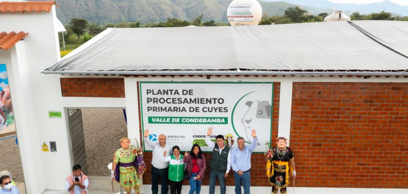 Cajamarca: Pan American Silver contribuye en la construcción de la planta de procesamiento de cuyes en valle Condebamba