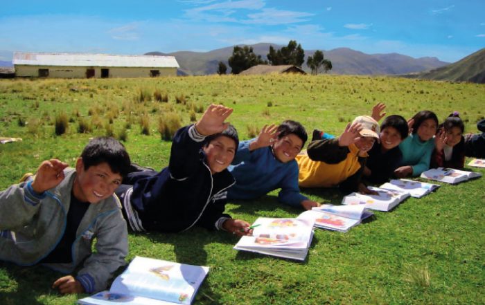 Índice de Desarrollo Humano (Perú)