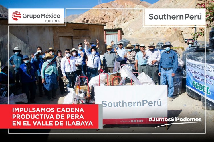 Southern Perú impulsa cadena productiva de pera en Ilabaya 1