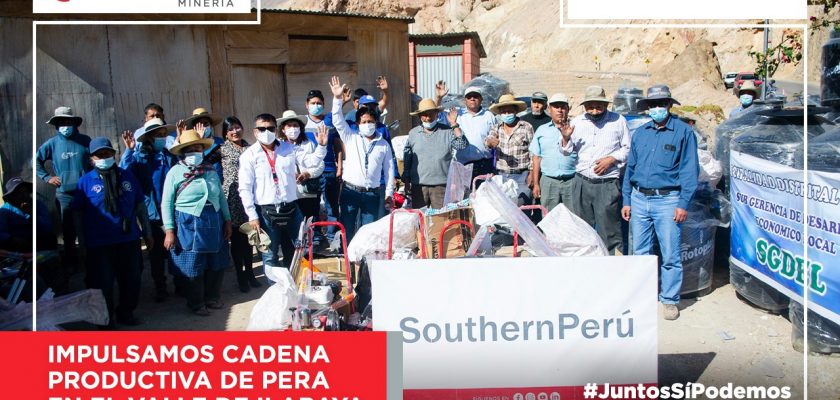 Southern Perú impulsa cadena productiva de pera en Ilabaya 1