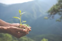 protección del medio ambiente