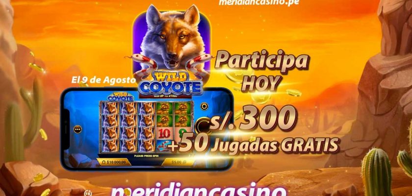 wild coyote meridian casino