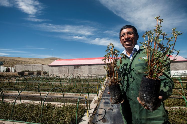 Antapaccay Medio Ambiente