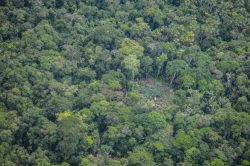 PERUPETRO advierte que posible reserva indígena obligaría a paralizar producción petrolera en la selva