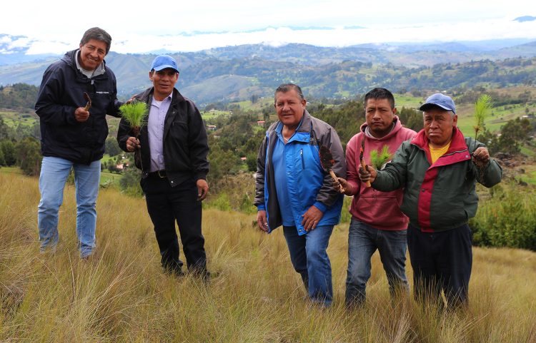 Newmont Yanacocha: Baños del Inca se suma al proyecto “Huella Verde” para plantar un millón de árboles en Cajamarca