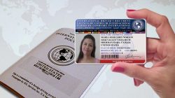 Carnet de Conducir Internacional IDP