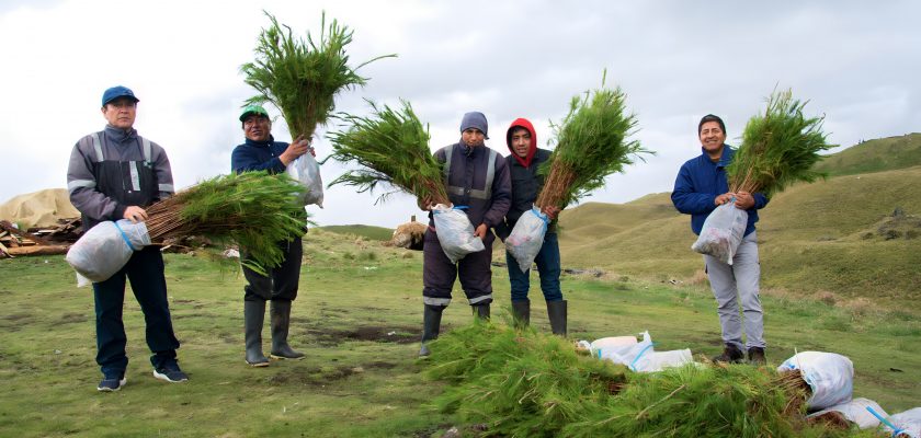 Newmont Yanacocha Anuncian campaña de forestación 2023 en Cajamarca “Juntos por una huella verde”