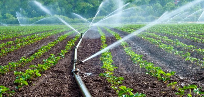 agua y agricultura