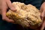 Australia: hallan pepita de oro gigante valorada en más de US$ 160,000