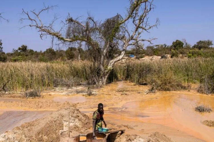 minero informal de Senegal