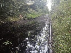 OEFA supervisa derrame de petróleo crudo ocurrido en el oleoducto Trompeteros – Saramuro (T1) en Loreto