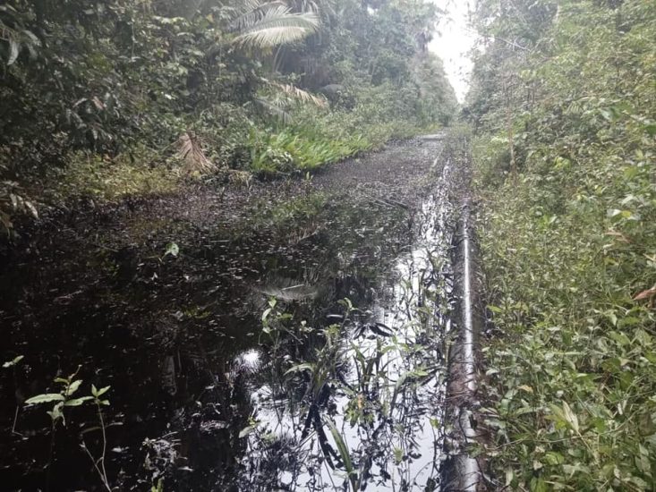 derrame de petróleo en el oleoducto Trompeteros – Saramuro