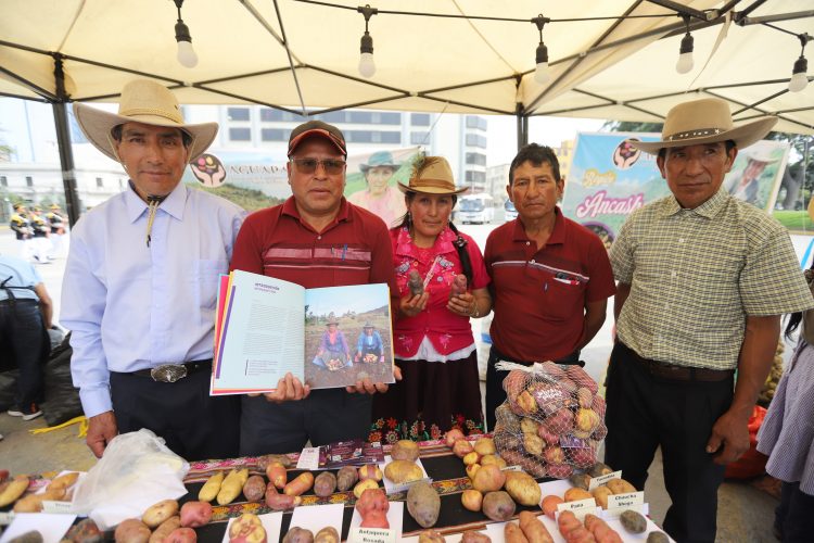 PODEROSA: Presentan catálogo de variedades de papas nativas de Tayabamba