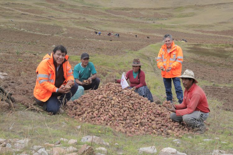 Minera Las Bambas contribuye al desarrollo agropecuario de más de 1500 familias de la provincia de Cotabambas