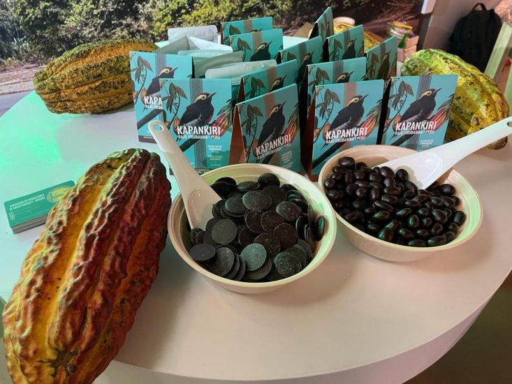 (Camisea) Cacao ecológico de comunidad nativa de Kirigueti del Bajo Urubamba