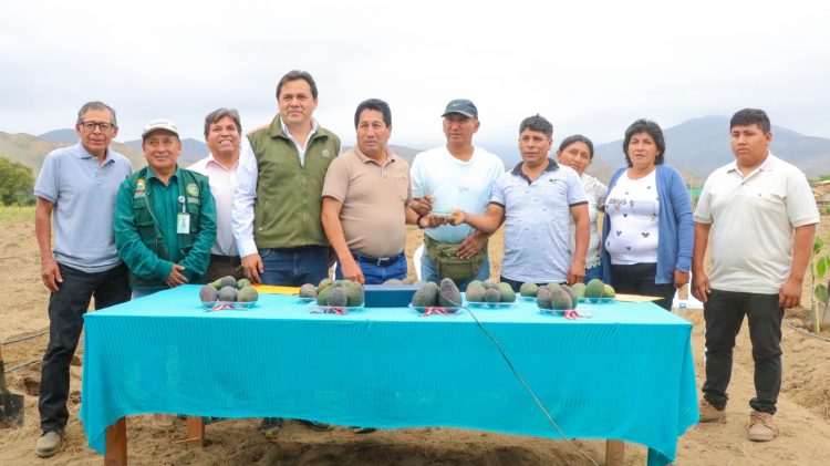 Premios ProActivo_Energías Renovables en el sector rural del distrito de Huarmey (Antamina)