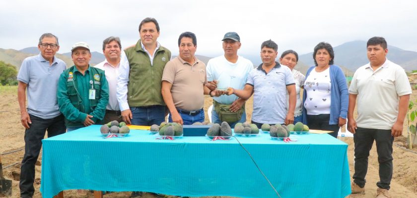 Premios ProActivo_Energías Renovables en el sector rural del distrito de Huarmey (Antamina)