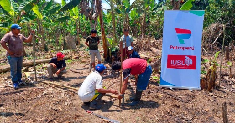 Comunidades amazónicas producirán cacao gracias a proyecto de Petroperú