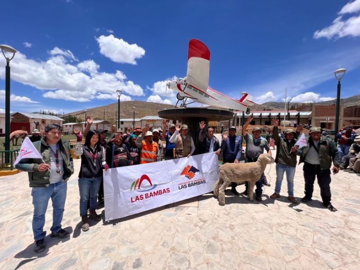 Minera Las Bambas impulsa el fortalecimiento y la mejora genética de ovinos en las comunidades de Apurímac