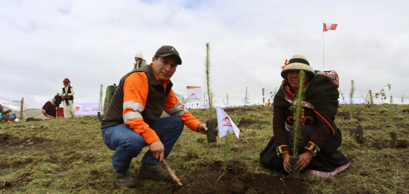Minera Las Bambas impulsa campaña forestal en 34 comunidades de Apurímac