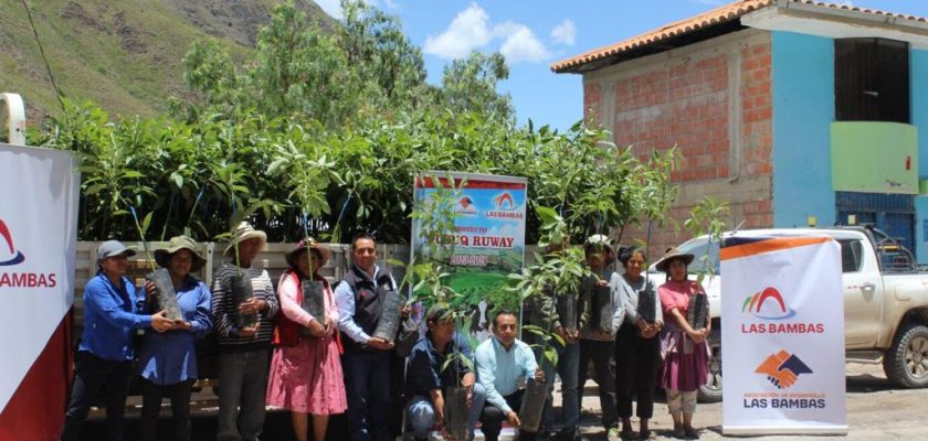 Minera Las Bambas entrega 1300 plantas de palta para potenciar a los agricultores de Cusco