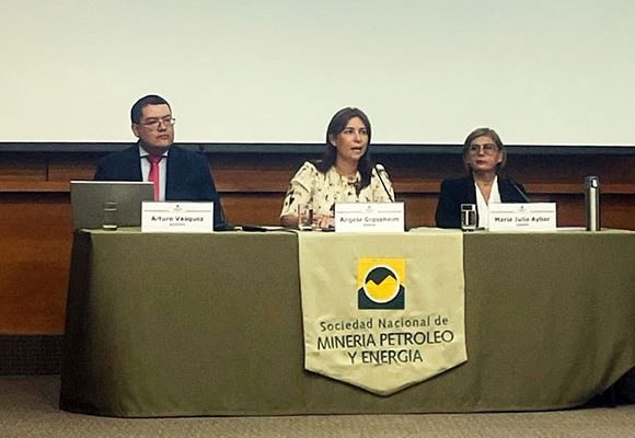 Impacto del sector hidrocarburos en la economía peruana SNMPE