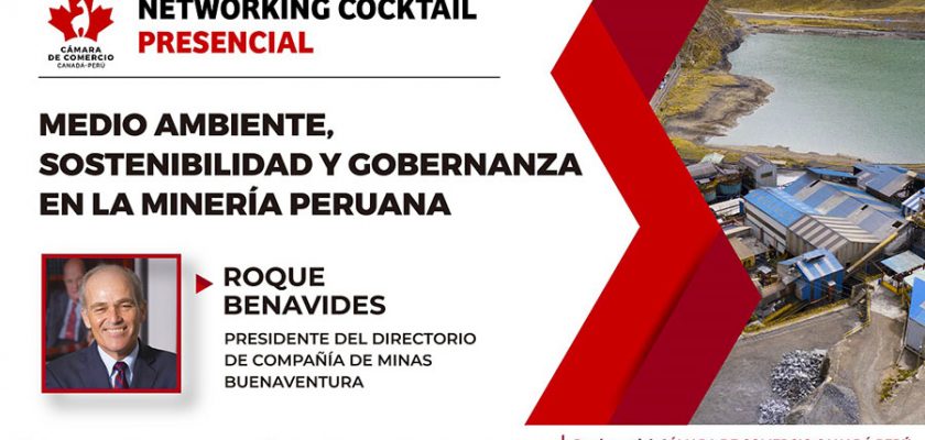 Medio Ambiente, Sostenibilidad y Gobernanza en la minería peruana