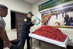 Policía de Pataz decomisa 1500 cartuchos de dinamita que serían usados para la minería ilegal