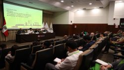 Hoja de ruta para la promoción del Hidrógeno Verde en el Perú