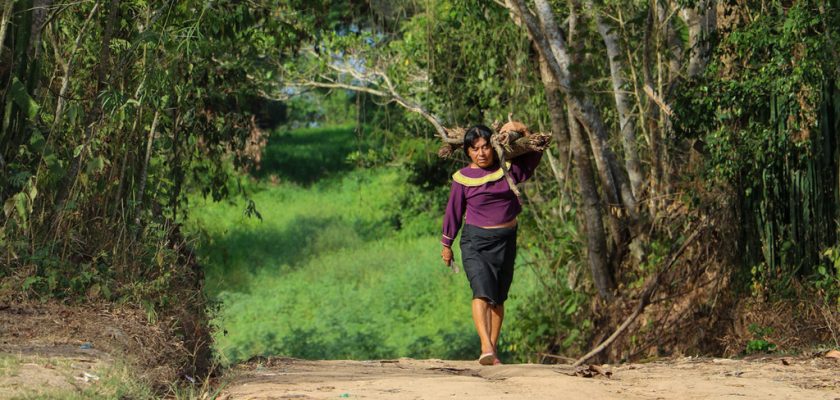 mujeres contribuyen en la gestión forestal y de fauna silvestre