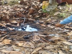 derrame de petróleo crudo en el Oleoducto Norperuano