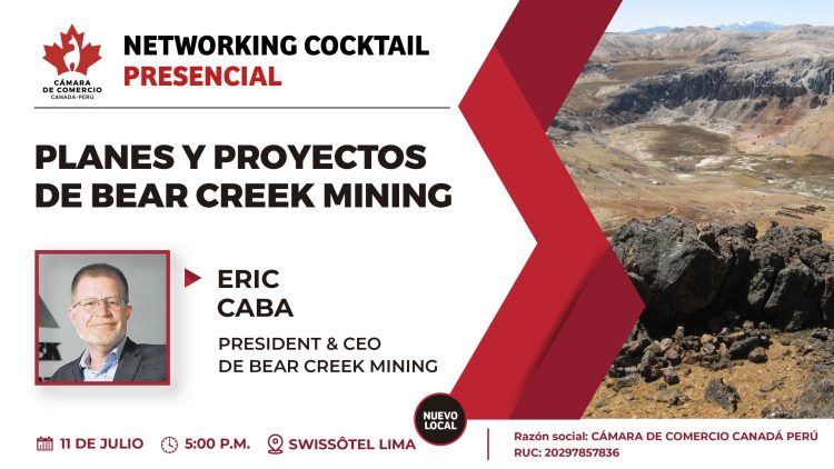 Planes y Proyectos de Bear Creek Mining