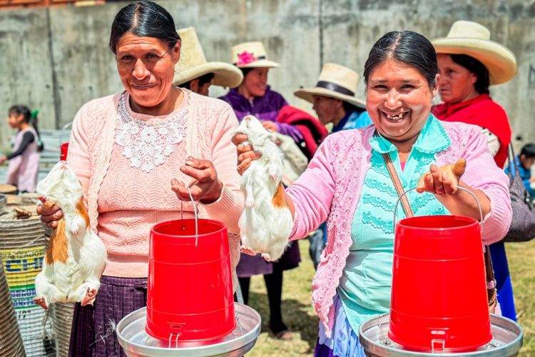 Asociación Quinuamayo Alto