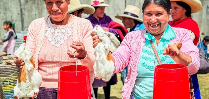 Asociación Quinuamayo Alto