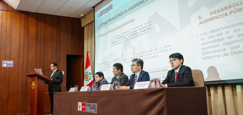 Lineamientos para elaboración del Plan de Participación Ciudadana para proyectos eléctricos