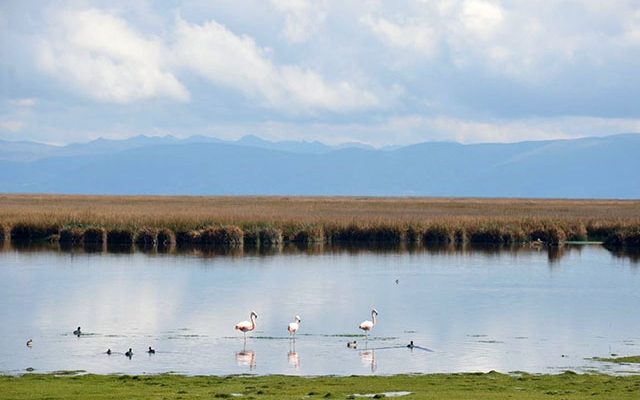 lago Chinchaycocha