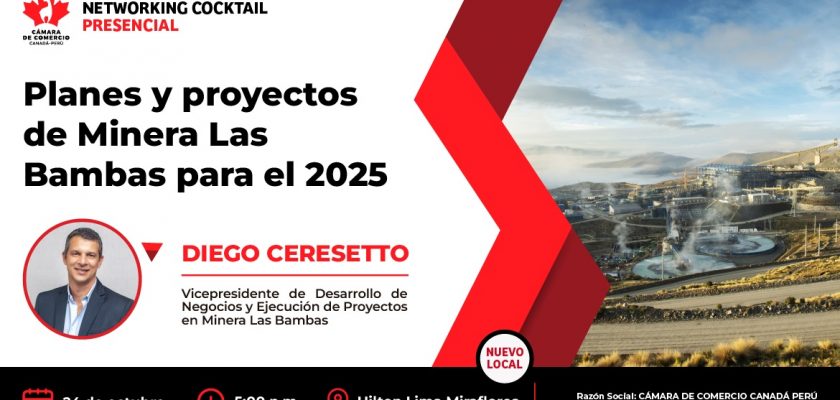 Planes y proyectos de Minera Las Bambas para el 2025