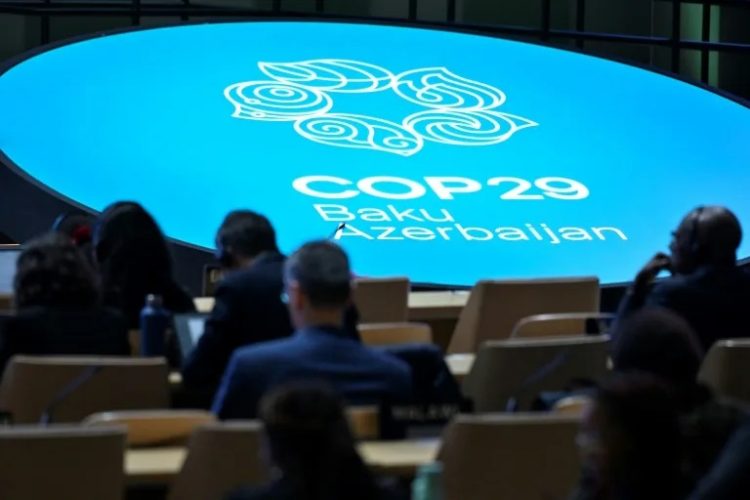 COP29