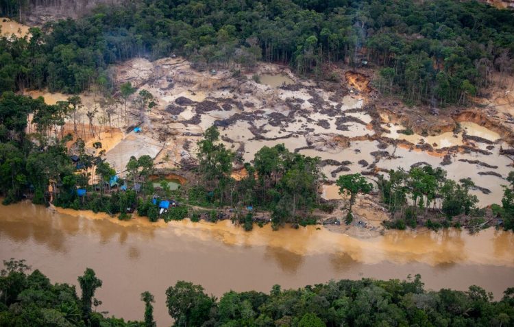 minería ilegal en Brasil