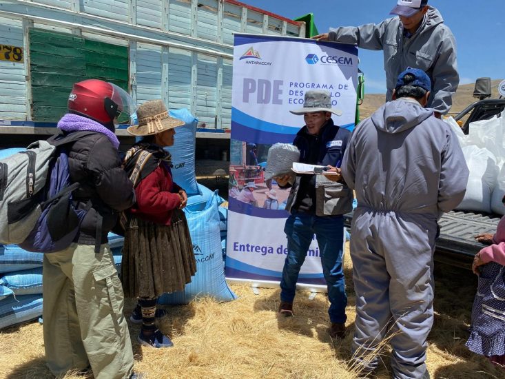 Campaña Avena Forrajera de Antapaccay