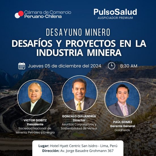 Desafíos y Proyectos en la Industria Minera