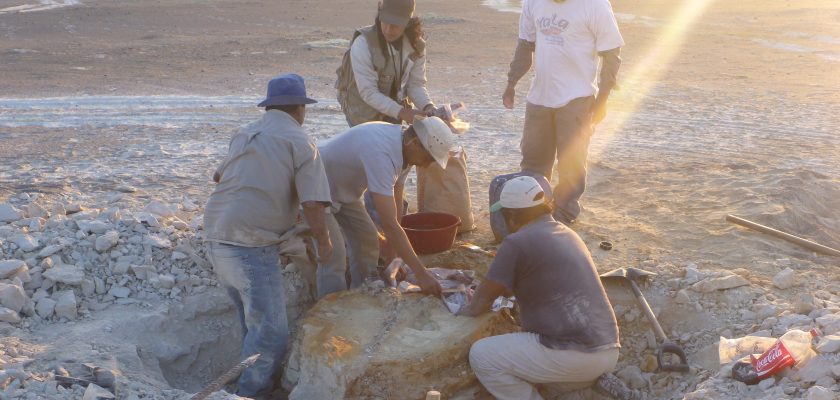 Paleontología en Perú