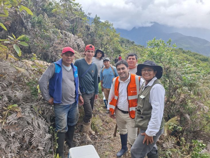 Orygen reafirma su compromiso con la reforestación en Junín con 15 mil nuevos plantones